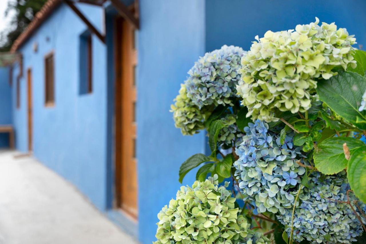 Vila Casa Azul Del Roque Negro Santa Cruz de Tenerife Exteriér fotografie